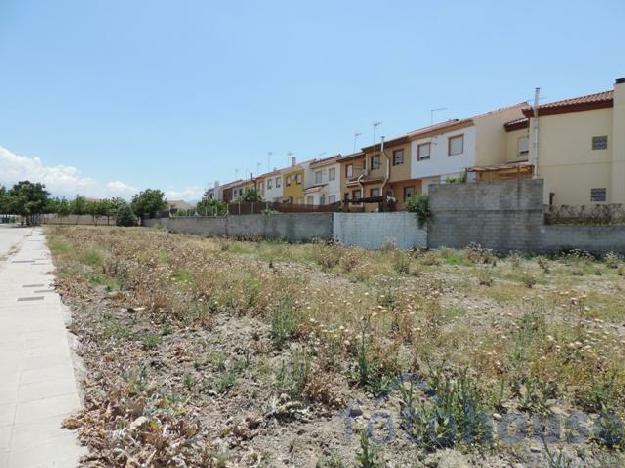 Terreno 0 dormitorios, 0 baños, 0 garajes, Urbanizable, en Cúllar Vega, Granada
