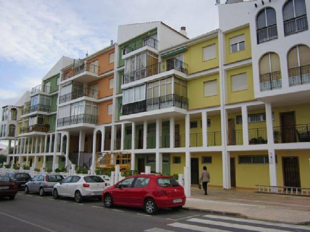 Estudio en Torrevieja