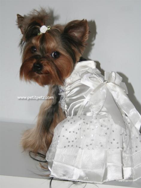 Vestido de novia para perro