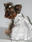 Vestido de novia para perro - mejor precio | unprecio.es