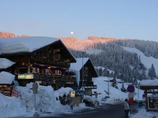 Estudio : 4/4 personas - les saisies  saboya  rodano alpes  francia