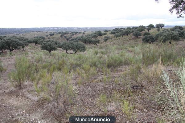 FINCA GANADERA 500 HAS EN VALENCIA DE ALCANTARA (CACERES)