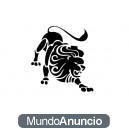 pegatina leo luna trasera cristal sticker vinilo personalizado adhesivo coche