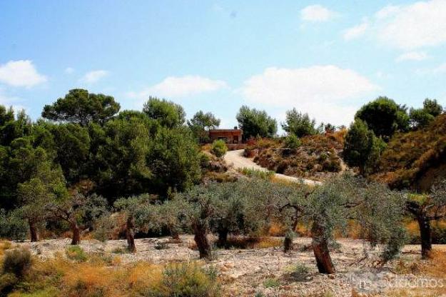 Vendo finca de lujo en Sierra de Altaona (Murcia)