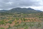 House for Sale in Murcia, Murcia, Ref# 3000033 - mejor precio | unprecio.es