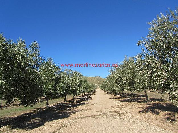 Finca rústica en Jaén