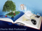 Diseño de Páginas Web Profesionales - mejor precio | unprecio.es