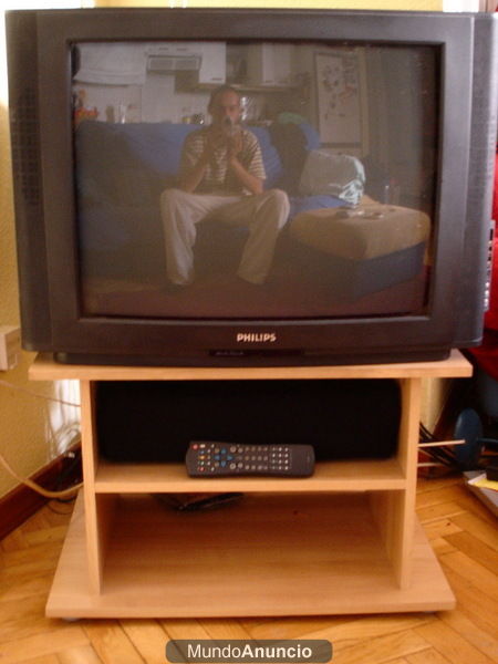 60   - Tv Philips 25 pulgadas - muy buen estado - (Piramides)