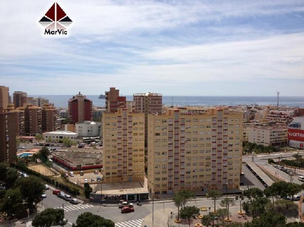 Estudio en Benidorm