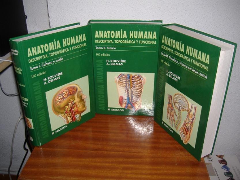 Lote anatomía humana rouviere