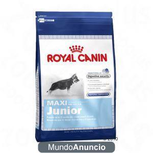 PIENSO ROYAL CANIN 15KL A 55 E Y 50 EUROS