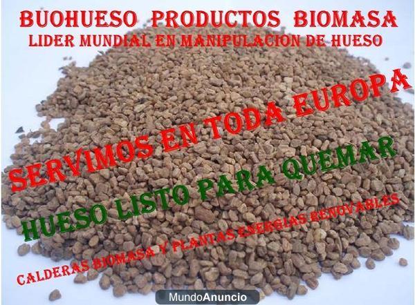 BIOMASA VENTA HUESO ACEITUNA