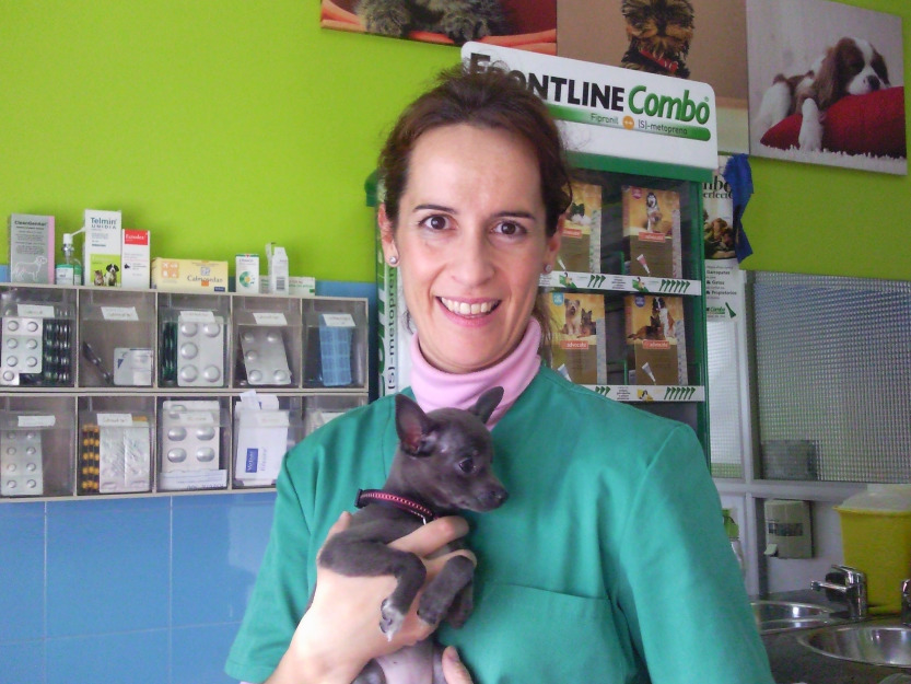 Veterinarios a domicilio en Málaga - Isavet