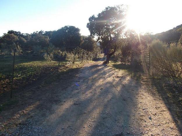 Finca rústica en Valdemorillo