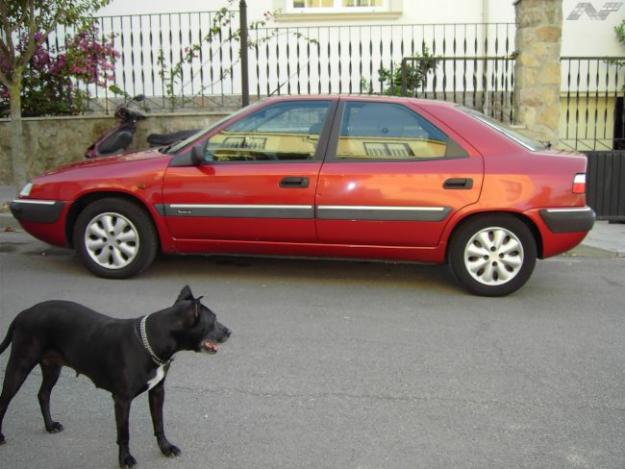 citroen xantia