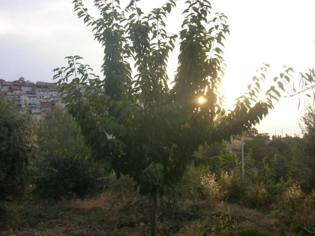 finca de riego sierra de cazorla