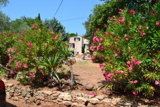 Apartamento en villa : 2/7 personas - piscina - frejus  var  provenza-alpes-costa azul  francia