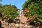 Apartamento en villa : 2/7 personas - piscina - frejus var provenza-alpes-costa azul francia - mejor precio | unprecio.es