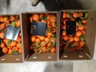 Naranjas y mandarinas 100% naturales y económicas - mejor precio | unprecio.es