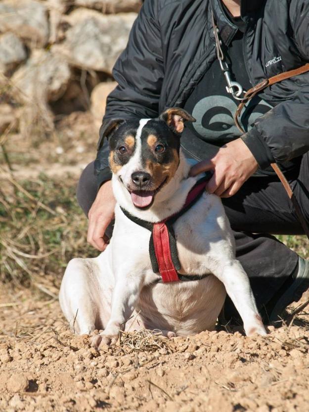 Bam, precioso bodeguero andaluz