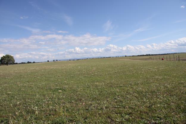 Finca rustica de labor 350 has. para  labores agrícolas