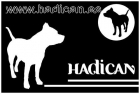 www.hadican.es // ** HADICAN ** // Calidad, Seriedad, Garantisas y lo Mejores Cachorritos de Todo el Mercado // www.hadi - mejor precio | unprecio.es