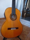 Guitarra flamenca FL2 Ramirez. Amplificación. MIDI RMC Guitar flamenco - mejor precio | unprecio.es