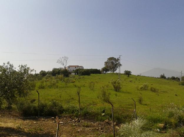 Finca rústica en Viñuela