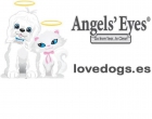 Blanqueador de Lagrimal Angels Eyes - mejor precio | unprecio.es