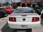 Ford Mustang ***OFERTON*** - mejor precio | unprecio.es