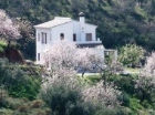 Chalet con 4 dormitorios se vende en Alcaucin, Axarquia - mejor precio | unprecio.es