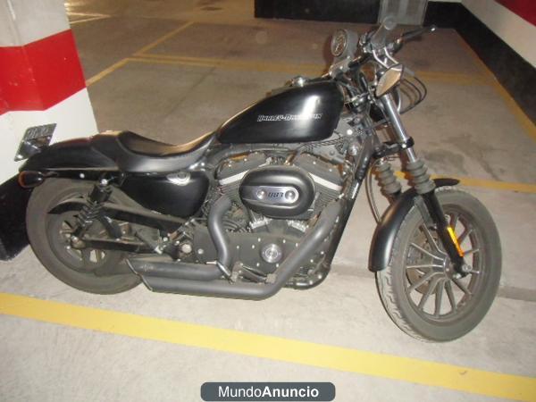 HARLEY DAVIDSON XL883N