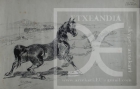 Ulpiano CHECA (1860-1916) - “El caballo de hierro” - mejor precio | unprecio.es