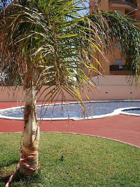 Piso en Canet d´En Berenguer