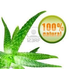 PRODUCTOS DE ALOE 100% NATURAL Y ECOLOGICO DE NUTRICION Y BELLEZA