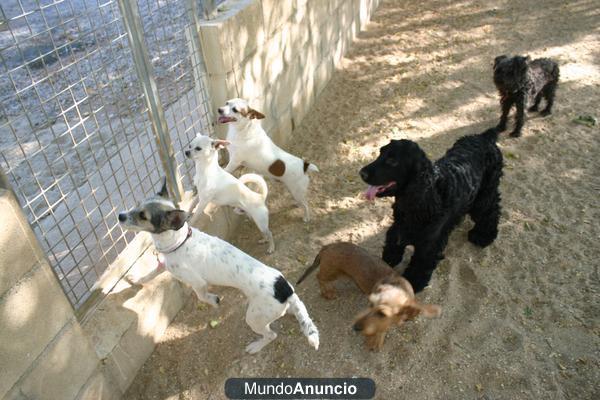 Residencia animales Granja la Luna