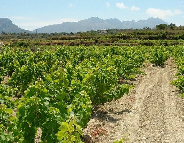 Terreno/Finca Rstica en venta en Benissa, Alicante (Costa Blanca)