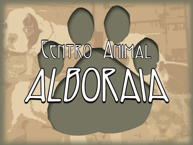 CACHORROS DE TODAS LAS RAZAS. CALIDAD Y PRECIO EXCELENTES.
