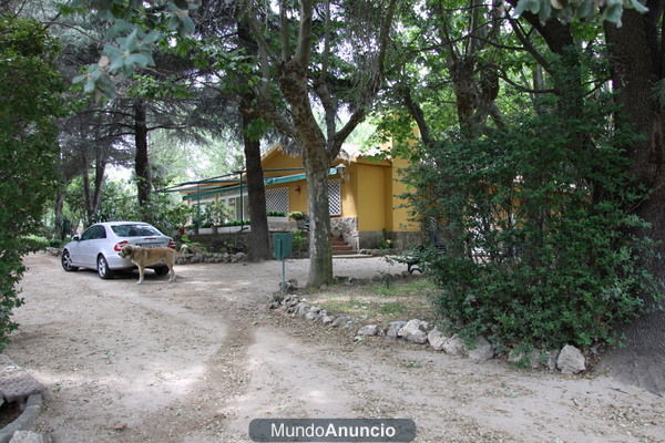 FINCA RUSTICA DE RECREO CON 2 CHALETS ,GRAN SALON Y PLAZA DE TOROS