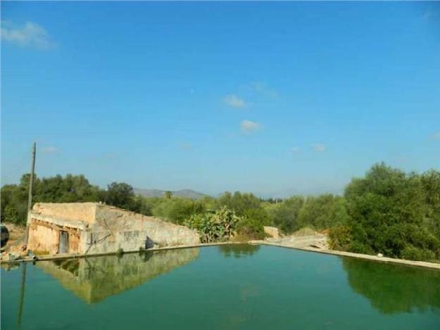 Terreno/Finca Rstica en venta en Llubí, Mallorca (Balearic Islands)