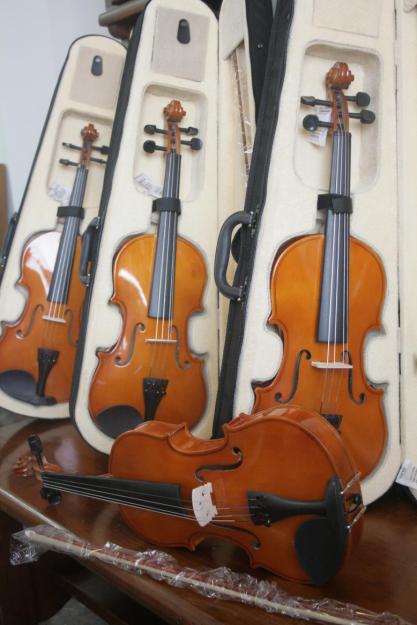 Violín con estuche