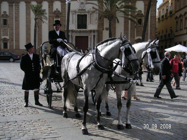 Alquiler coche caballos feria Sevilla 2013