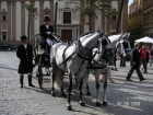Alquiler coche caballos feria Sevilla 2013 - mejor precio | unprecio.es