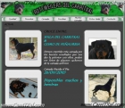 ROTTWEILER DEL CARRITXAL-CACHORROS DISPONIBLES - mejor precio | unprecio.es