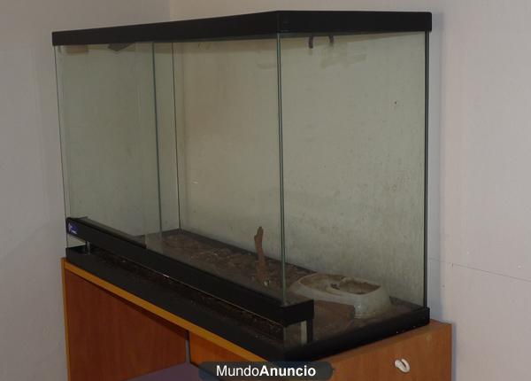 Se vende jaula reptiles de cristal