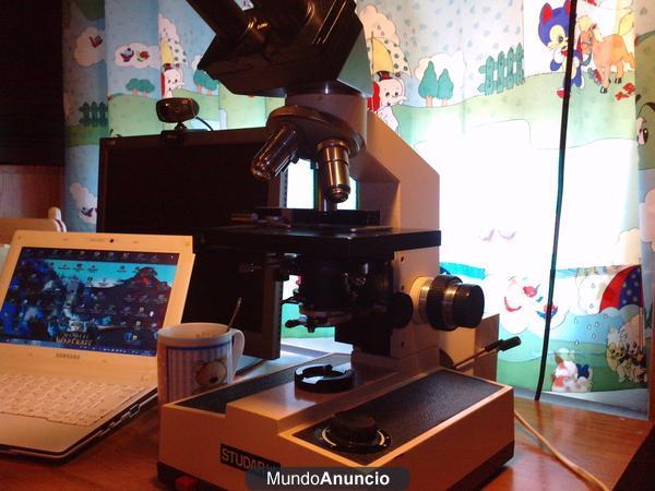 Microscopio biológico profesional PZO STUDAR lab