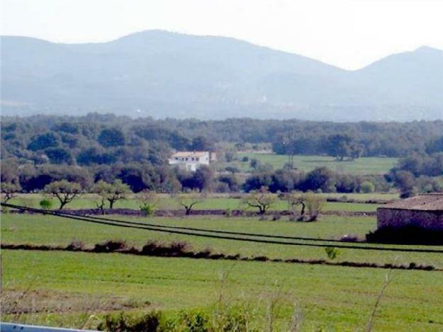 Casa en Pla de Santa Maria, el