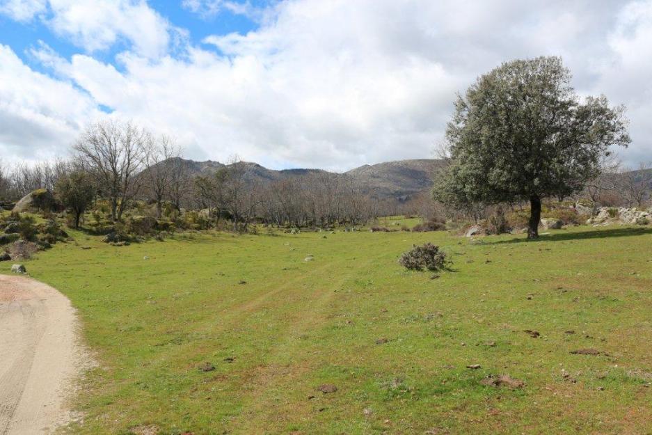 Venta de finca ristica en  el escorial (madrid)