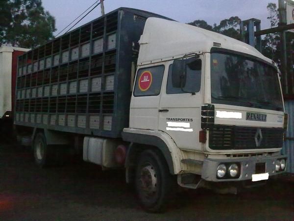renault caja jaula ganado