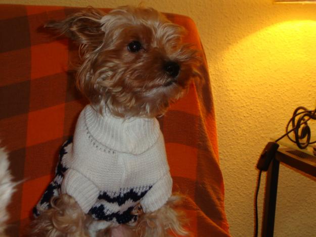 Busco novia para jorshaike